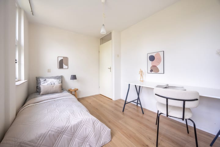 Photo 24 of Poldermolen 33