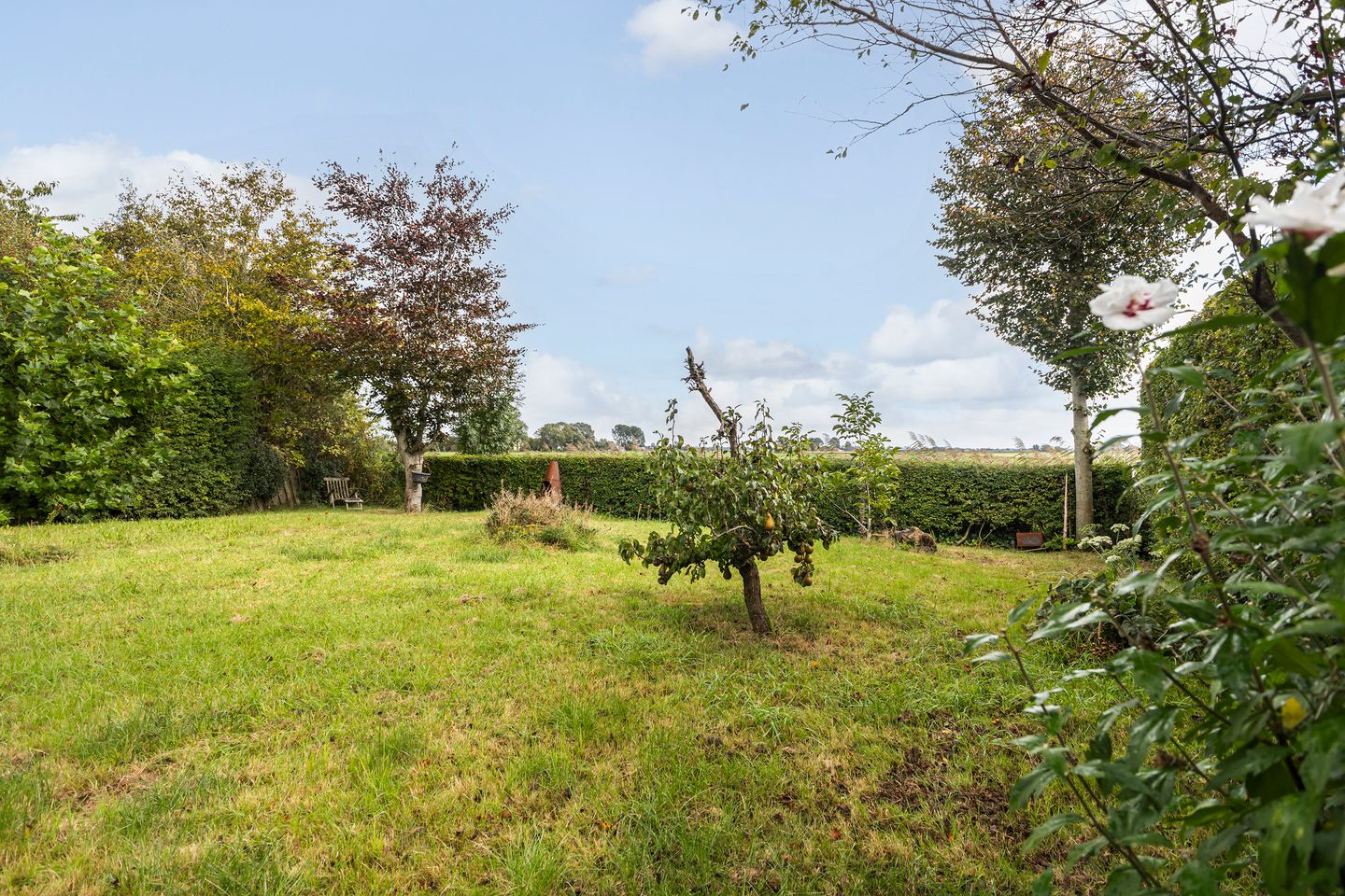 Foto 40 van Olde Borchweg 43