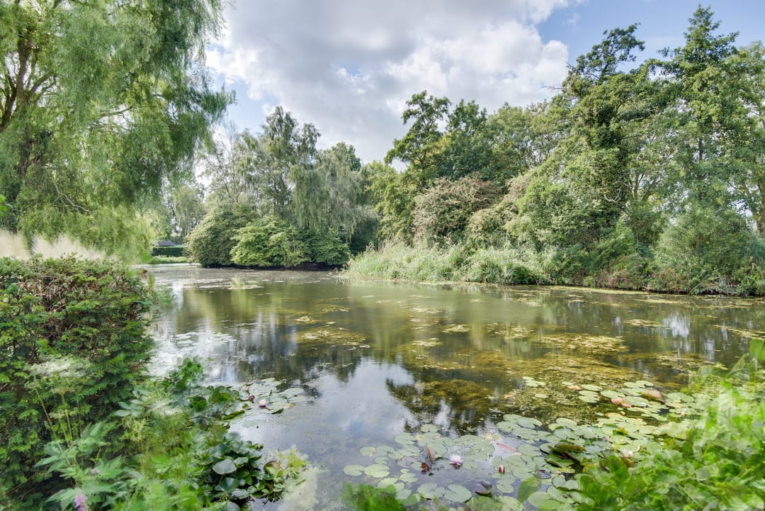 Foto 43 van Larikslaan 84