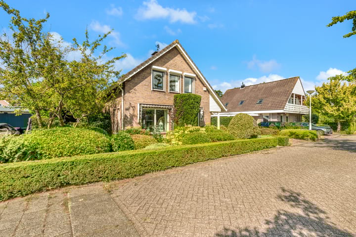 Foto 21 van Kamperfoelie 24