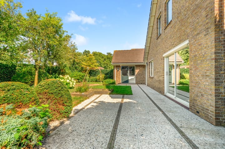 Foto 23 van Kamperfoelie 24