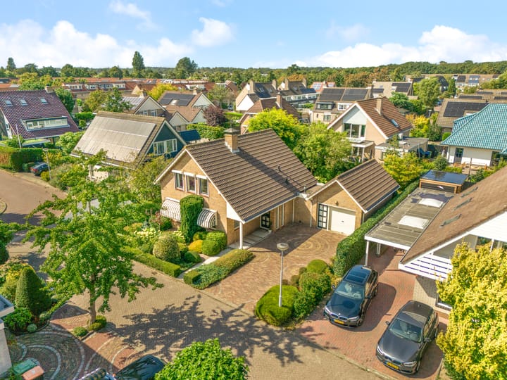 Foto 29 van Kamperfoelie 24