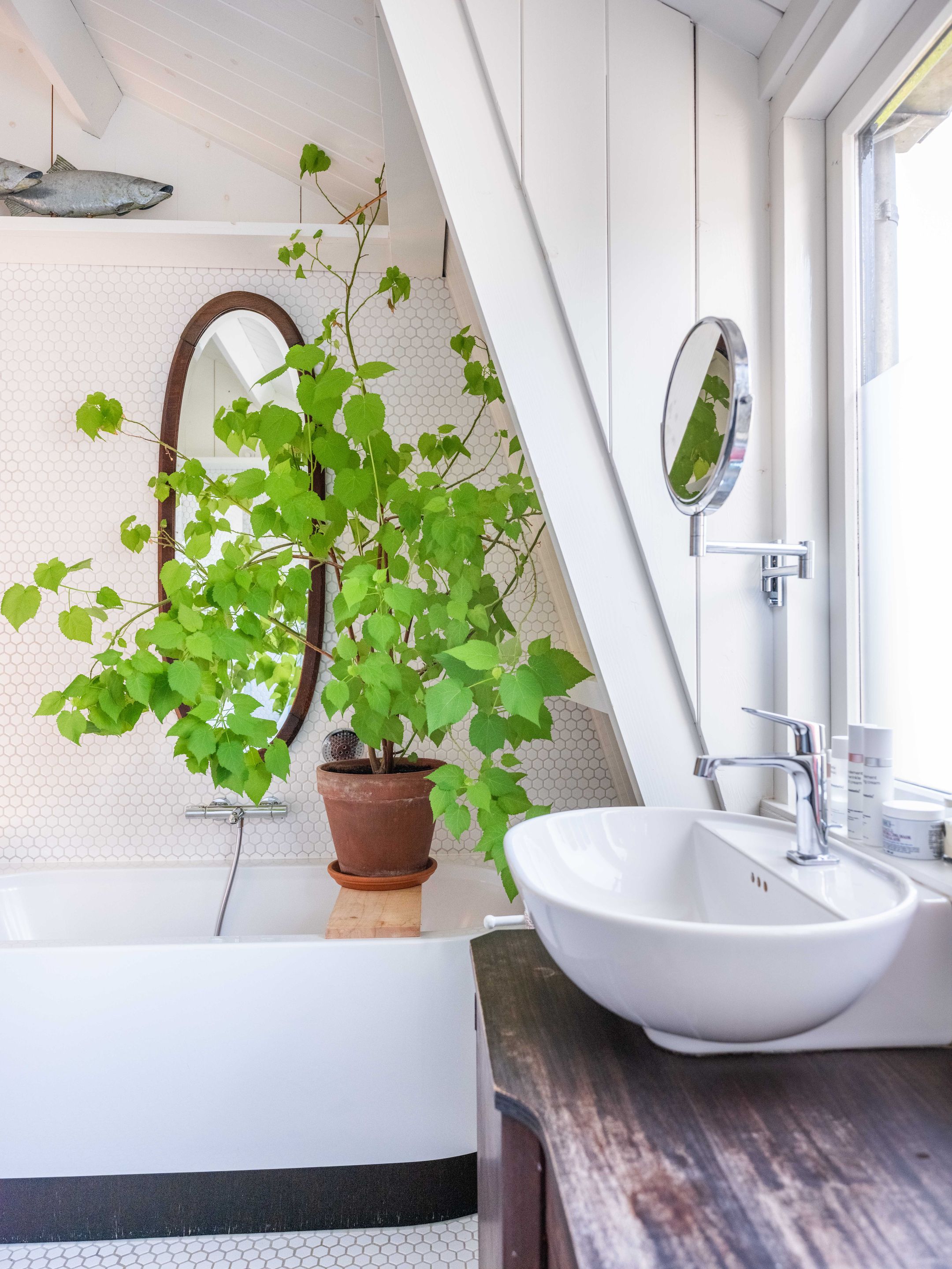 Foto 27 van Dorpsstraat 27