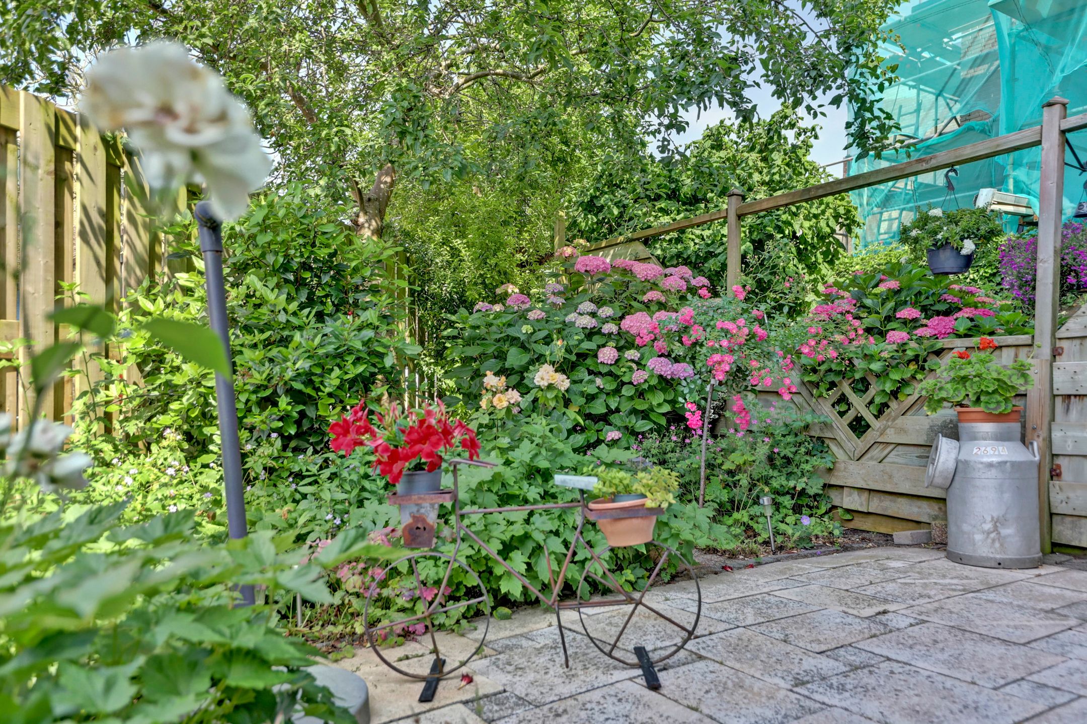 Foto 36 van Albrechtsveld 56