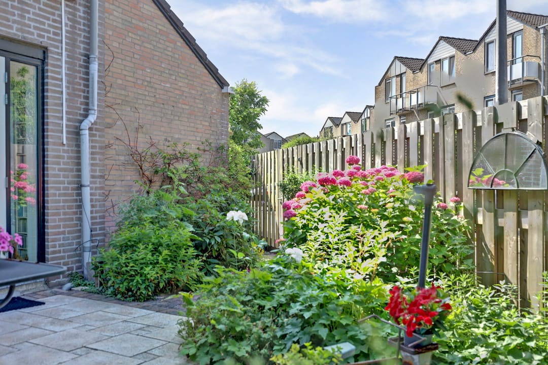 Foto 37 van Albrechtsveld 56