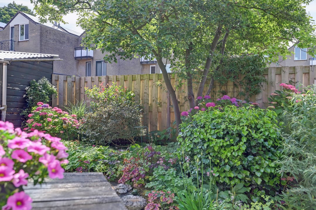 Foto 38 van Albrechtsveld 56