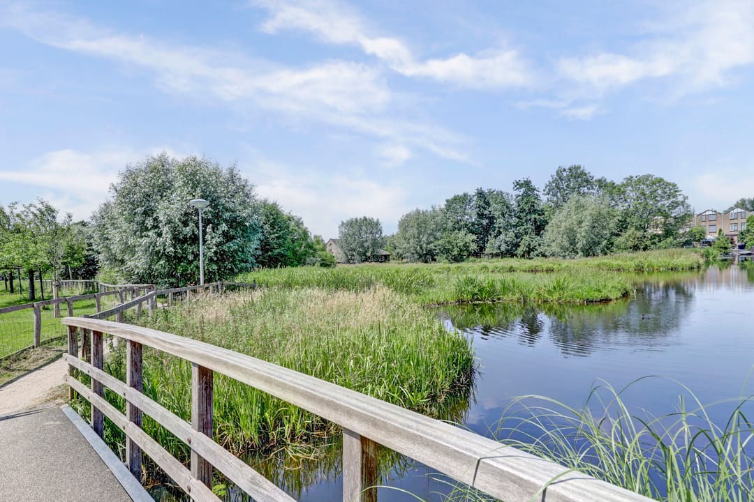 Foto 43 van Albrechtsveld 56