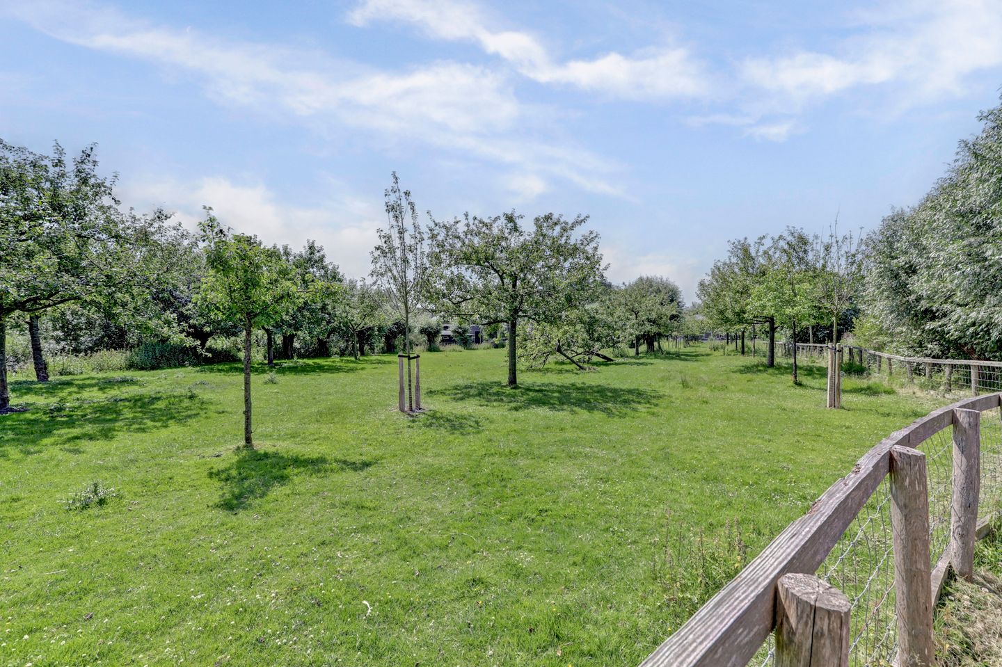 Foto 44 van Albrechtsveld 56