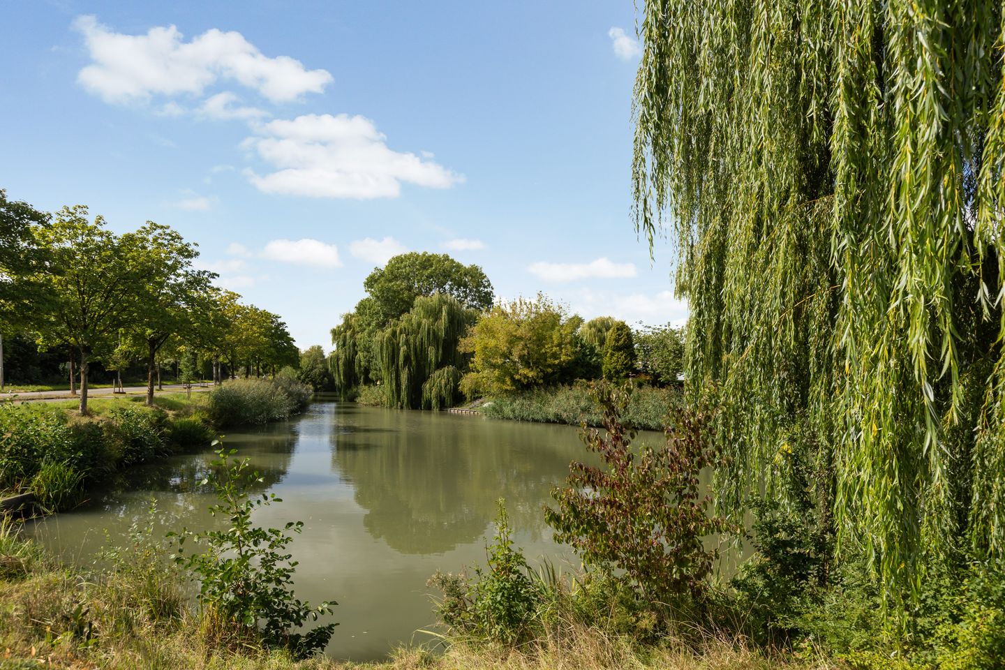 Foto 34 van Steenstraat 77