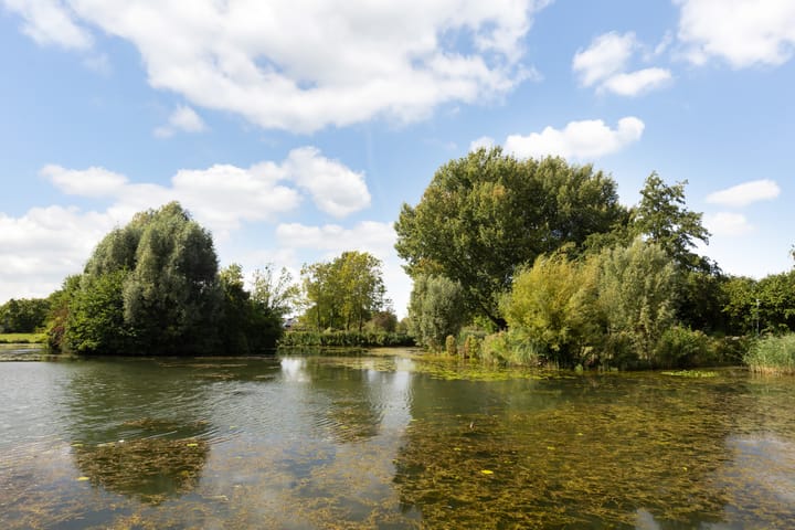 Foto 37 van Steenstraat 77