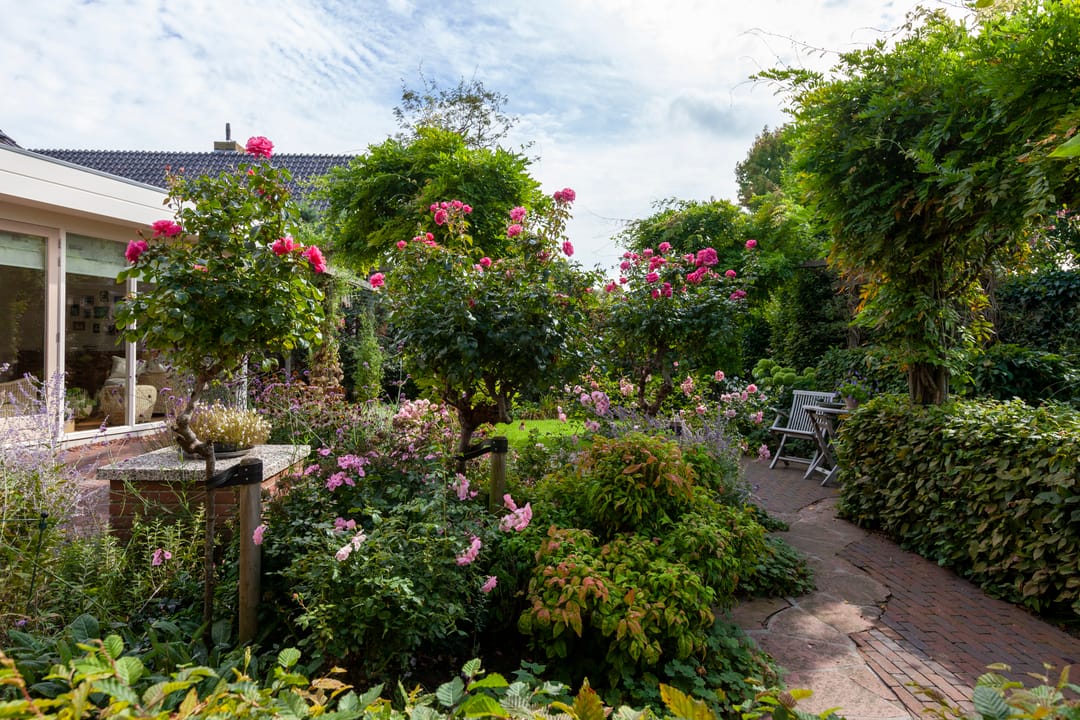 Foto 53 van Meerbon 8