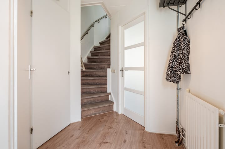 Foto 6 van Dukaat 50