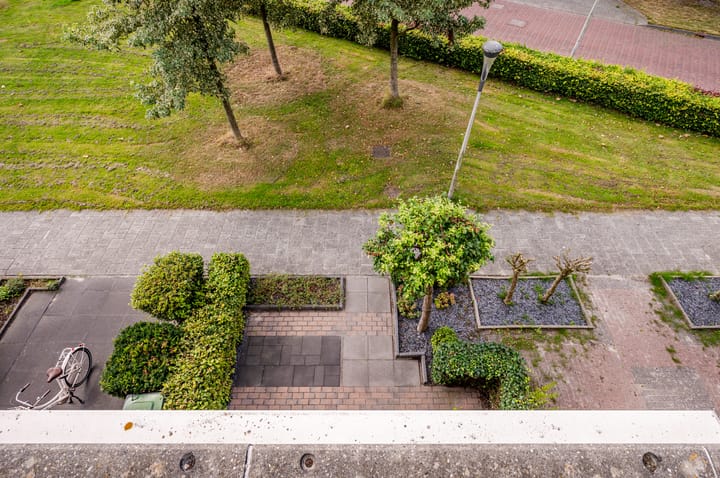 Foto 33 van Dukaat 50