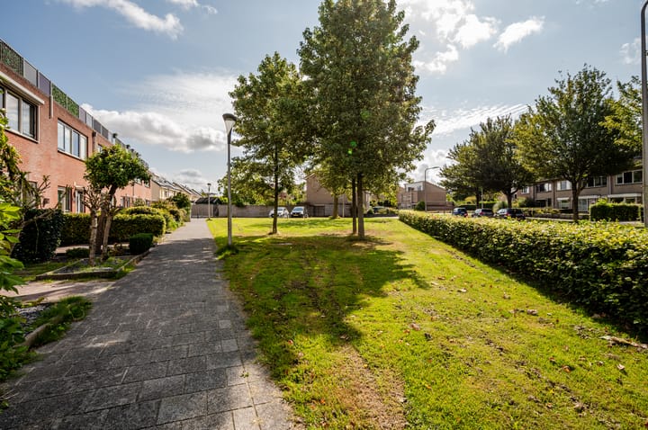 Foto 45 van Dukaat 50