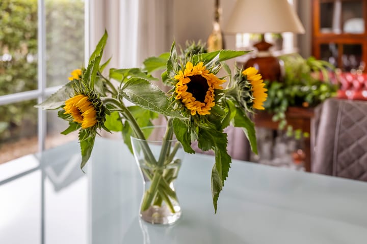 Foto 10 van Larixlaan 5