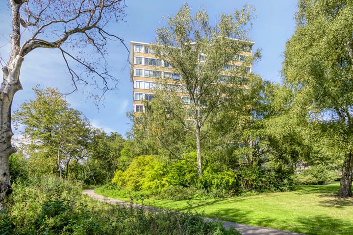 Photo 28 of Meander 395