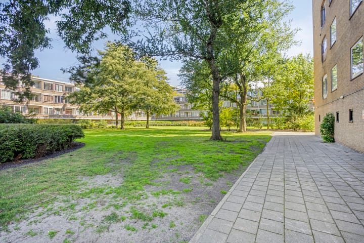 Photo 30 of Meander 395