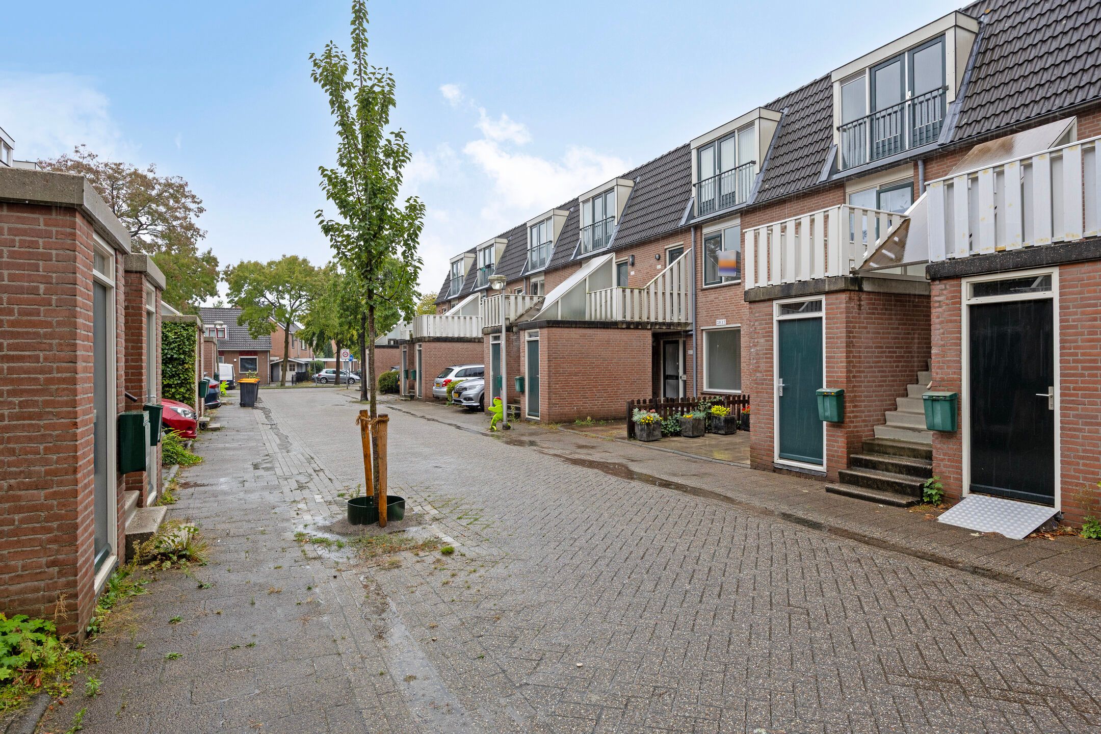 Foto 18 van Crosestein 2023