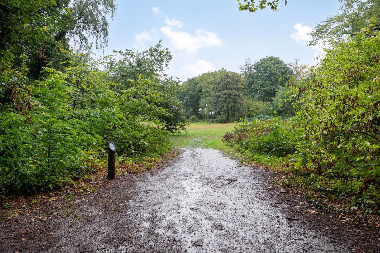 Foto 20 van Crosestein 2023