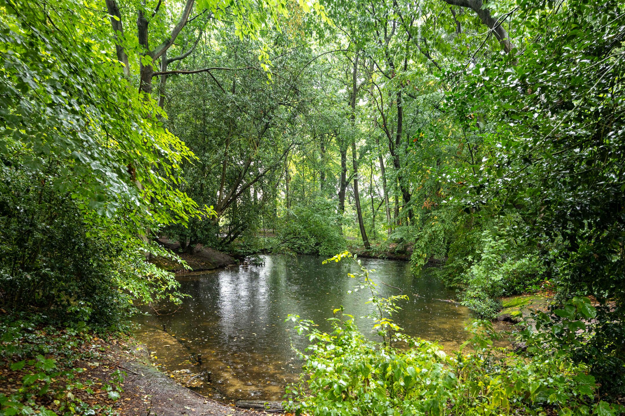 Foto 21 van Crosestein 2023