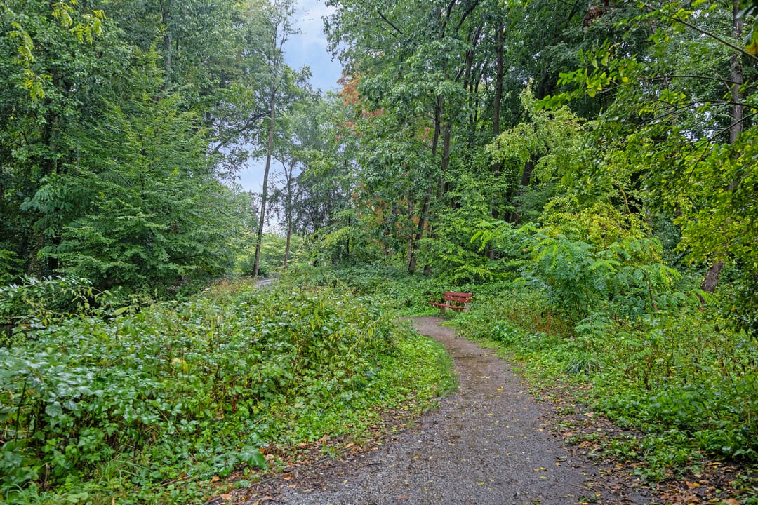 Foto 22 van Crosestein 2023