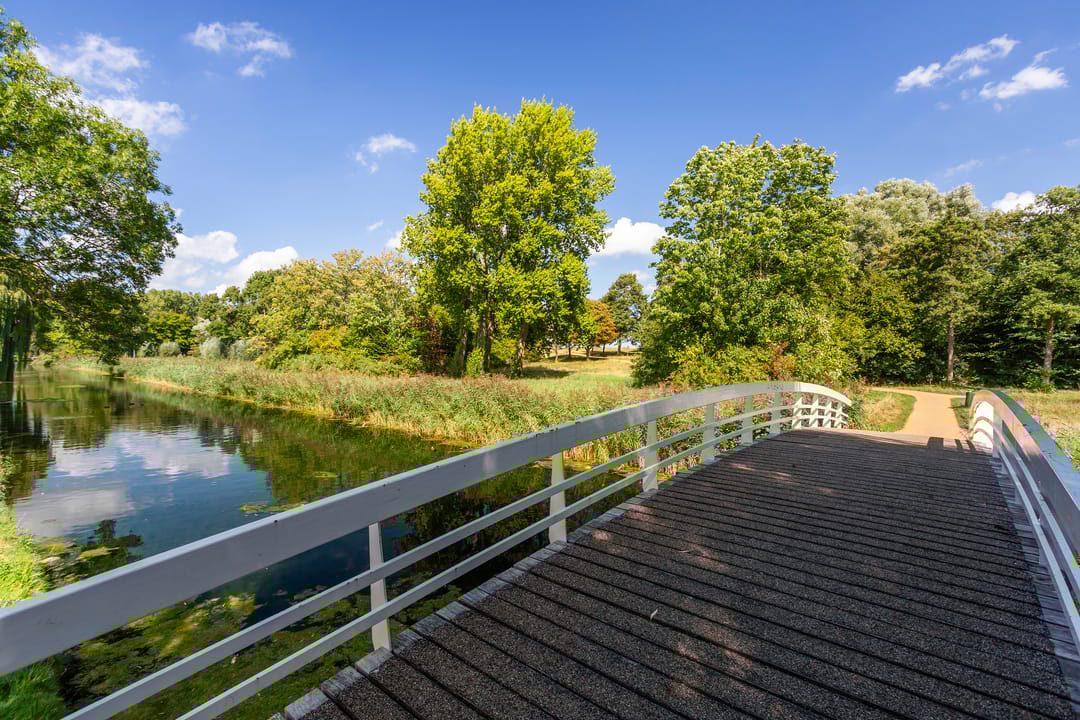 Foto 41 van Esdoornlaan 66