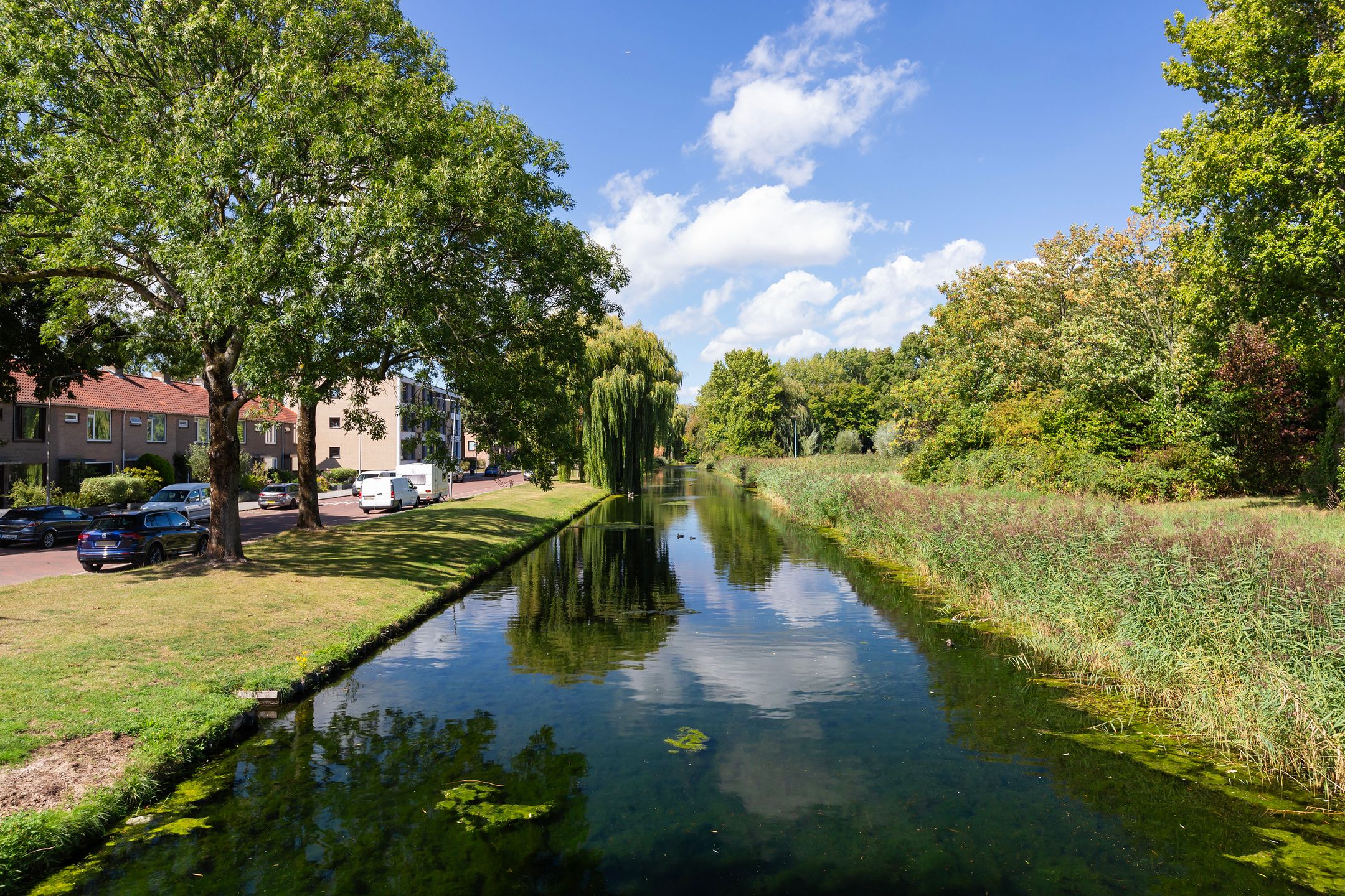 Foto 42 van Esdoornlaan 66