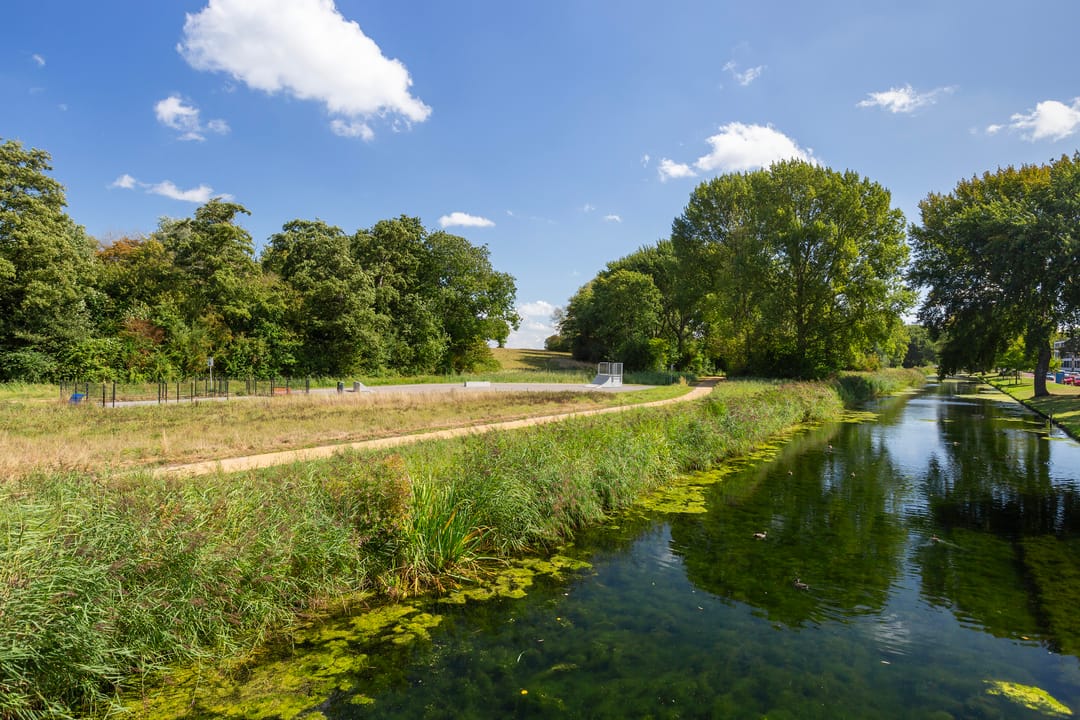 Foto 43 van Esdoornlaan 66