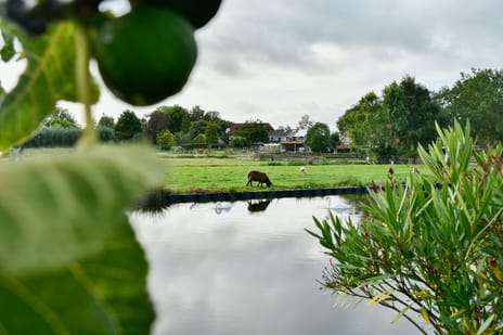 Van Saanelaan 10 tertiary image