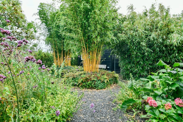 Foto 26 van Van Saanelaan 10