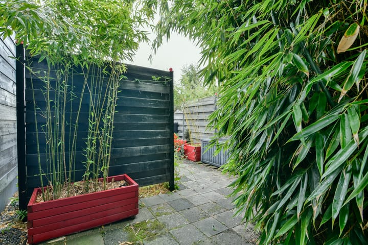 Foto 27 van Van Saanelaan 10