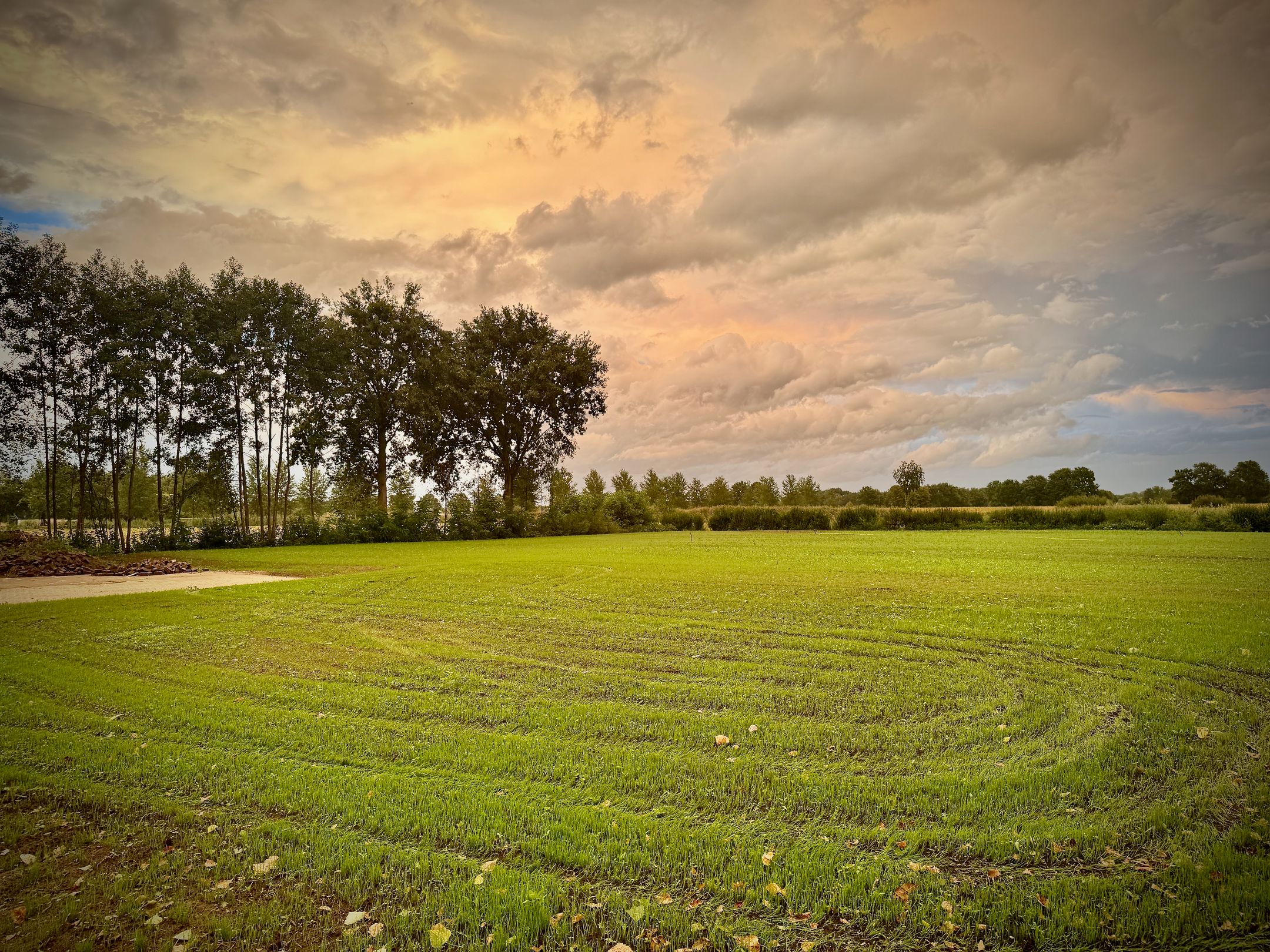 Hemelrijkstraat  false