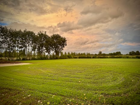 Hemelrijkstraat thumbnail
