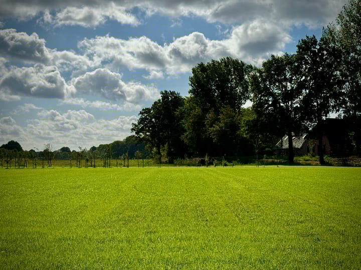 Foto 16 van Hemelrijkstraat