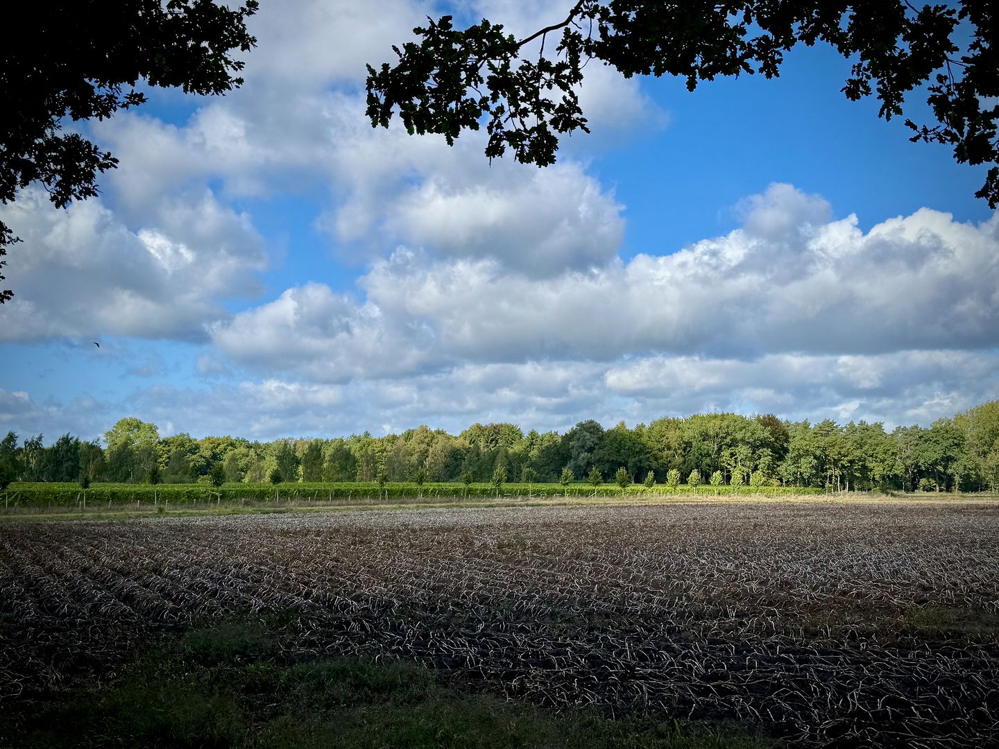 Foto 20 van Hemelrijkstraat