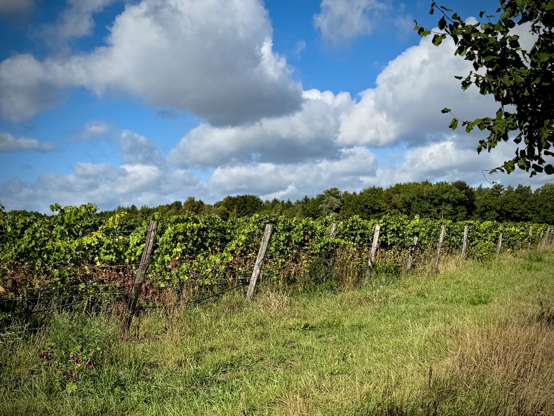 Foto 22 van Hemelrijkstraat