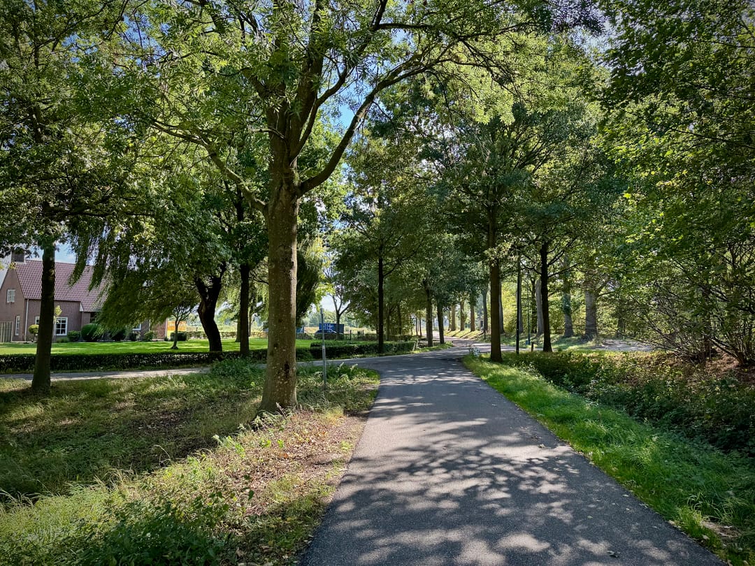 Foto 23 van Hemelrijkstraat