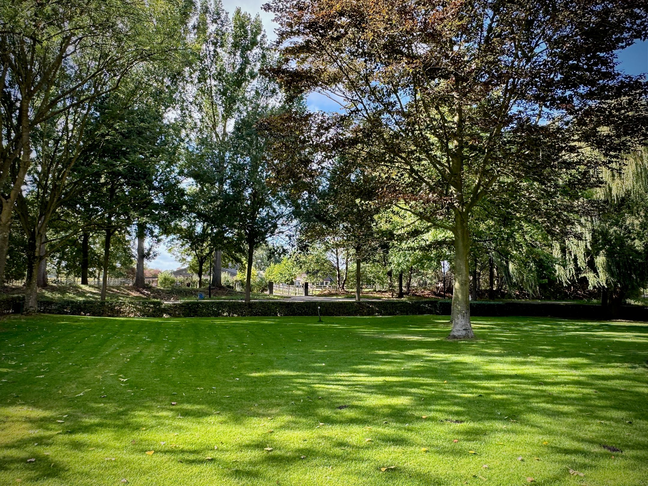 Foto 24 van Hemelrijkstraat