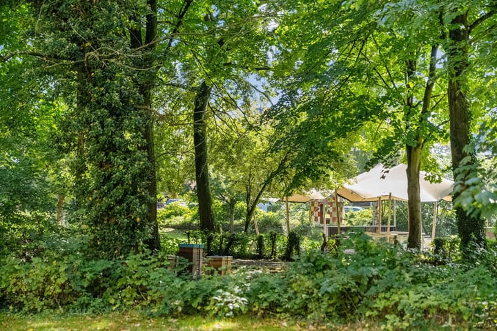 Foto 25 van Haydnstraat 37-C