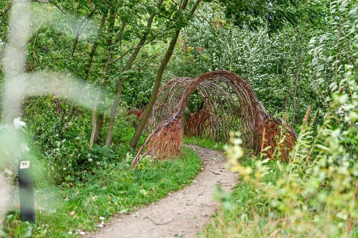 Foto 30 van Haydnstraat 37-C