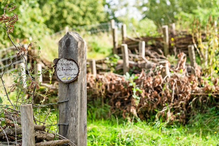 Foto 31 van Haydnstraat 37-C