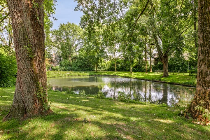 Foto 35 van Leliestraat 10