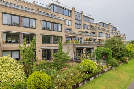 Reviuslaan thumbnail