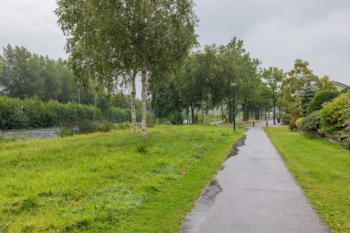 Foto 5 van Reviuslaan 76