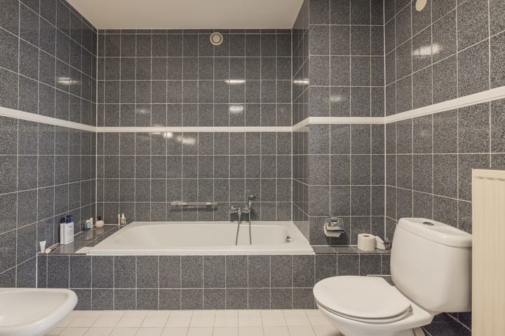 Foto 24 van Reviuslaan 76