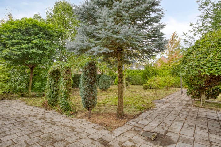 Foto 6 van Molenstraat 41