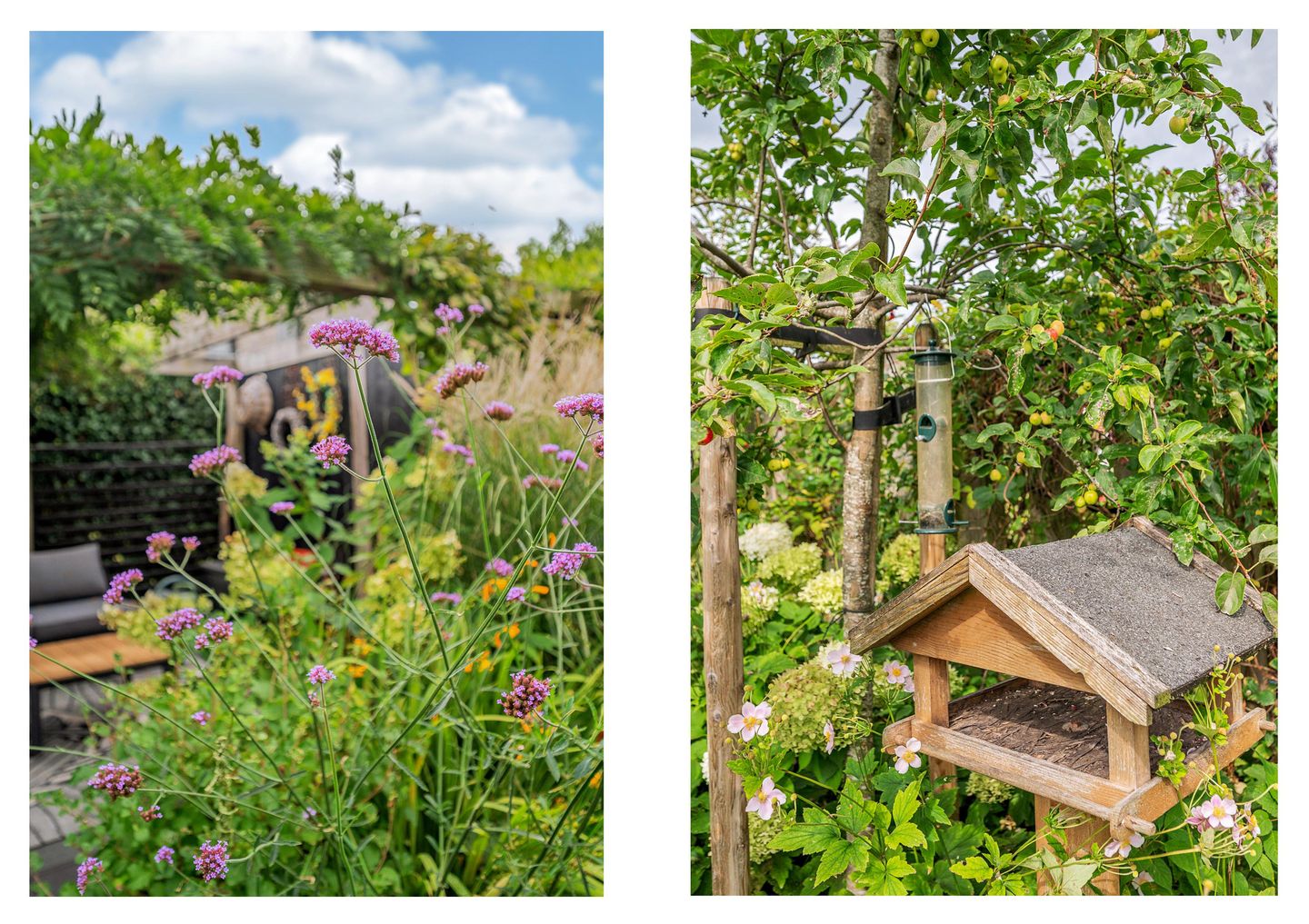 Foto 44 van Hofakker 7