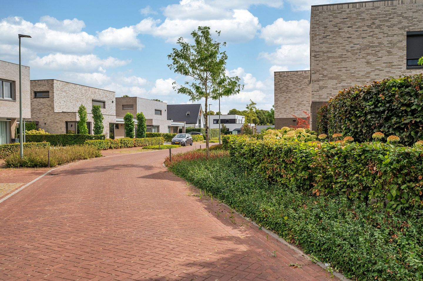 Foto 49 van Hofakker 7