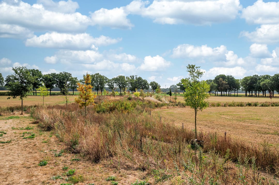 Foto 53 van Hofakker 7