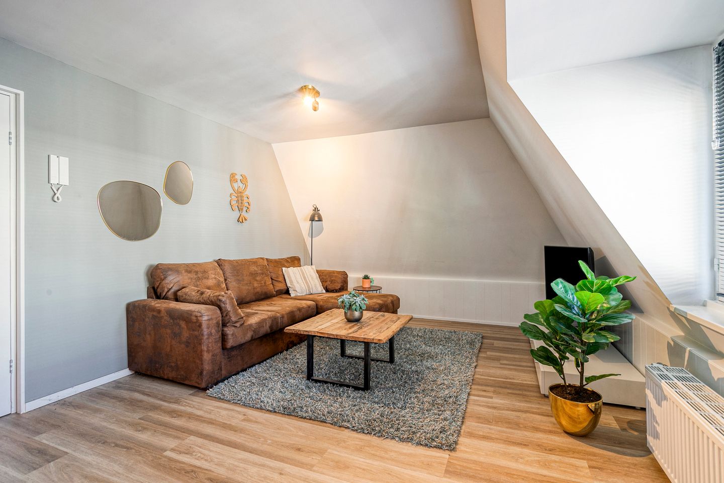 Foto 19 van Doornpad 5